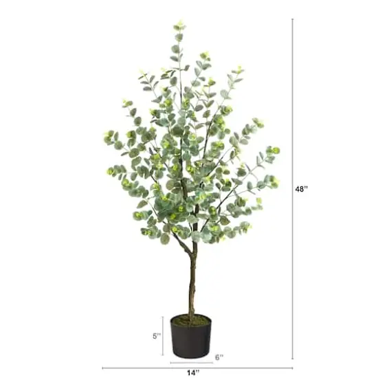 4ft. Potted Eucalyptus Tree {3}