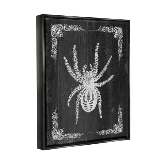 Stupell Industries Black & White Spider Framed Floater Canvas Wall Art {4}