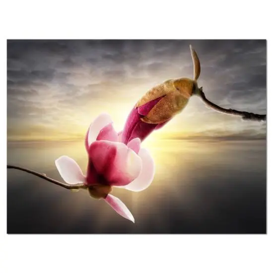 Designart - Beautiful Magnolia Flowers - Large Floral Canvas Art Print {1}