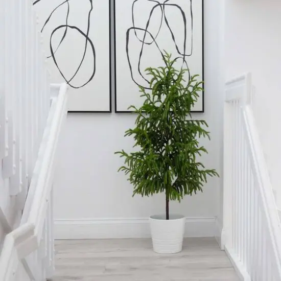 4ft. Unlit Norfolk Pine Artificial Potted Christmas Tree {8}