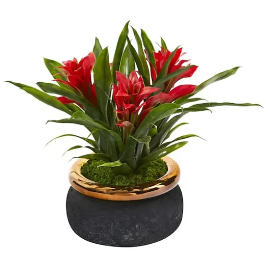11" Red Bromeliad in Stoneware Planter {1}