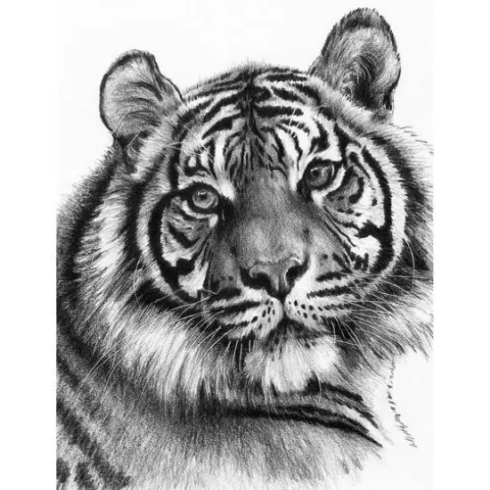 Royal & Langnickel&reg; Sketching Made Easy&trade; Clawdia Kit {4}