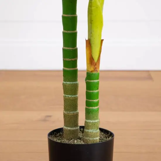 6ft. Potted Double-Stalk Golden Cane Palm Tree {7}