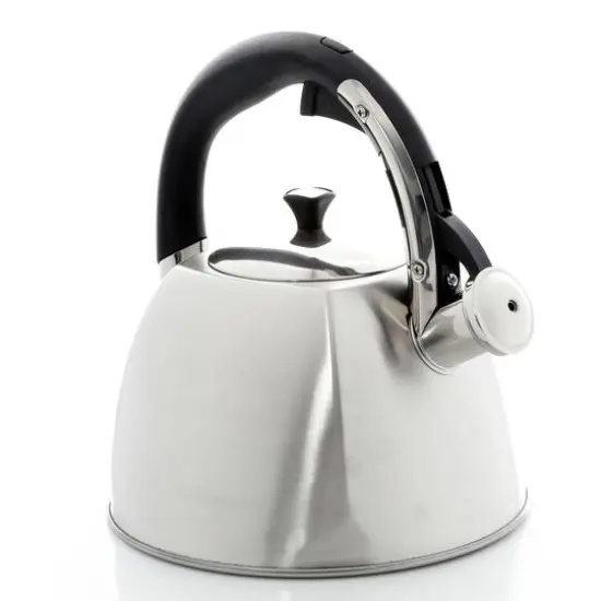 Mr. Coffee Belgrove 2.5qt. Brushed Stainless Steel Whistling Tea Kettle with Nylon Handle {10}