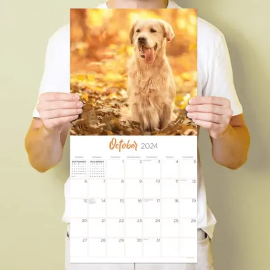 TF Publishing 2024 Golden Retrievers Wall Calendar {6}