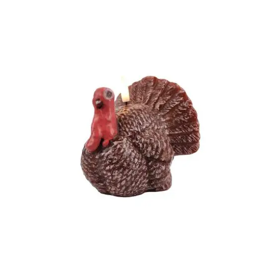 4.5" Turkey LED Candle by Ashland&reg; {3}