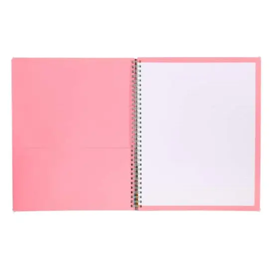 Steel Mill & Co.&reg; Succulents Large Notebook {3}