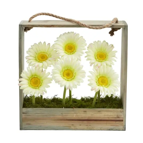 Cream Gerbera Daisy Garden in Hanging Wood Frame {3}