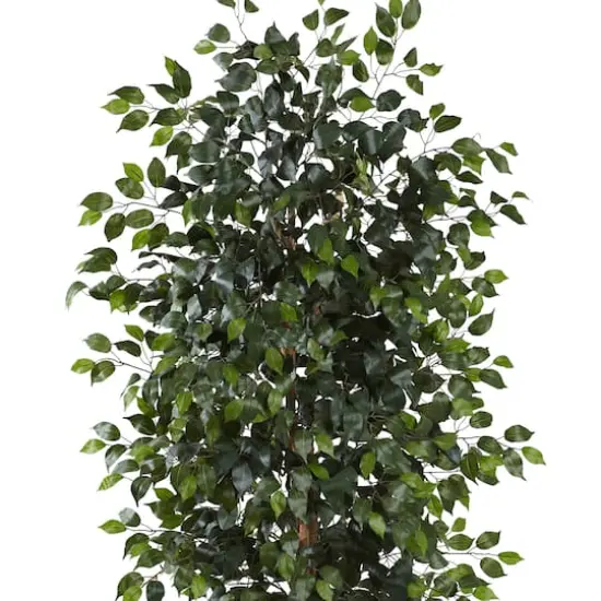8ft. Potted Ficus Tree {3}