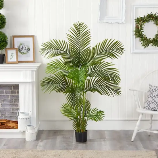 5ft. Potted Areca Palm Tree {4}