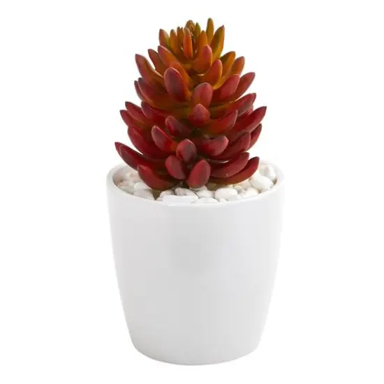 10" Mixed Succulent Plants in White Vases Set {3}