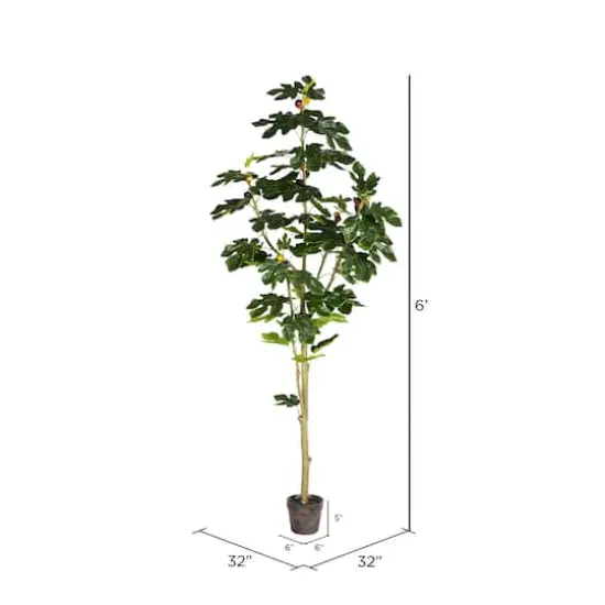 6ft. Potted Fig Tree {4}