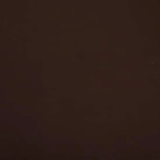 Fabric Merchants Solid Cotton Jersey Knit Fabric Brown {3}