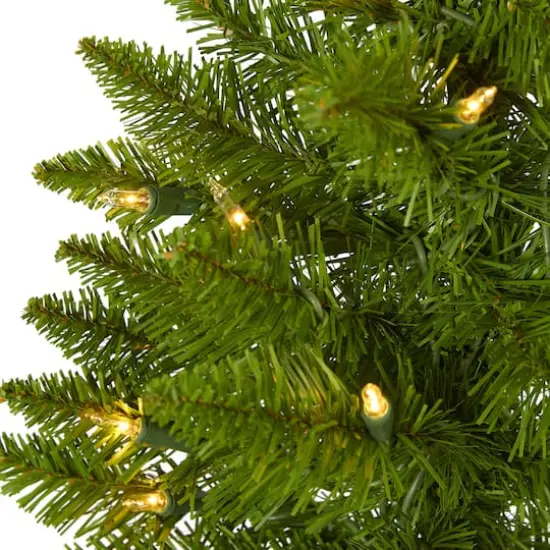 2ft. Pre-Lit Providence Pine Artificial Christmas Tree, Warm White Lights {4}