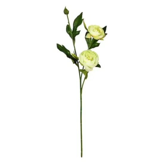 6 Pack: Lime Peony Spray {1}