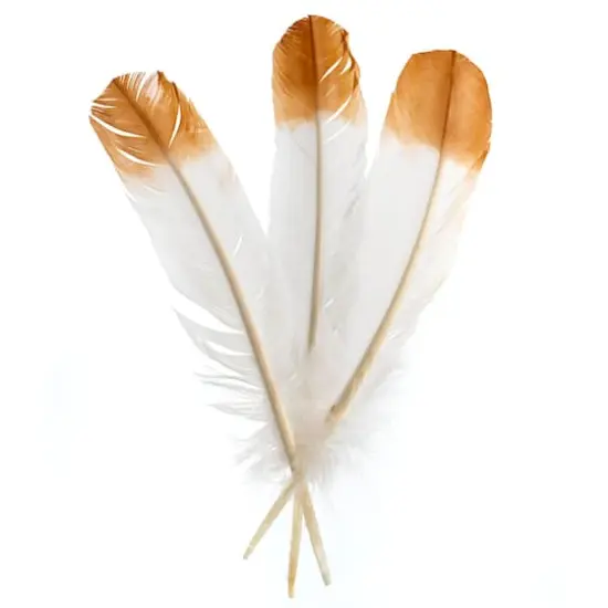 John Bead 12" White & Brown Imitation Eagle Feathers, 18ct. {3}