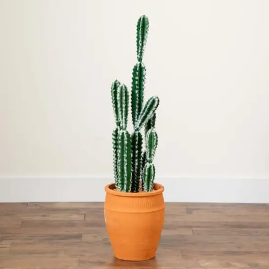 3ft. Cactus in Terracotta Planter {4}