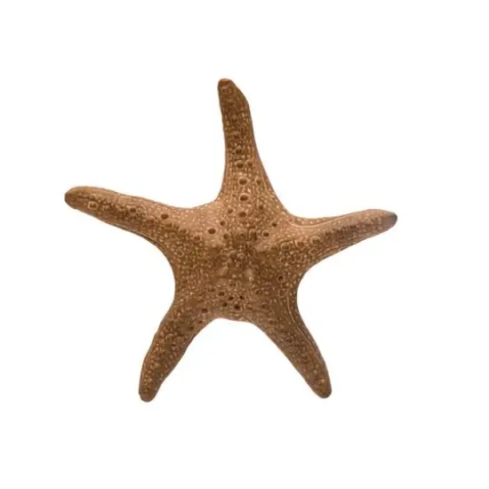 Hello Honey&reg; 11" Brown Stoneware Starfish Decoration {1}