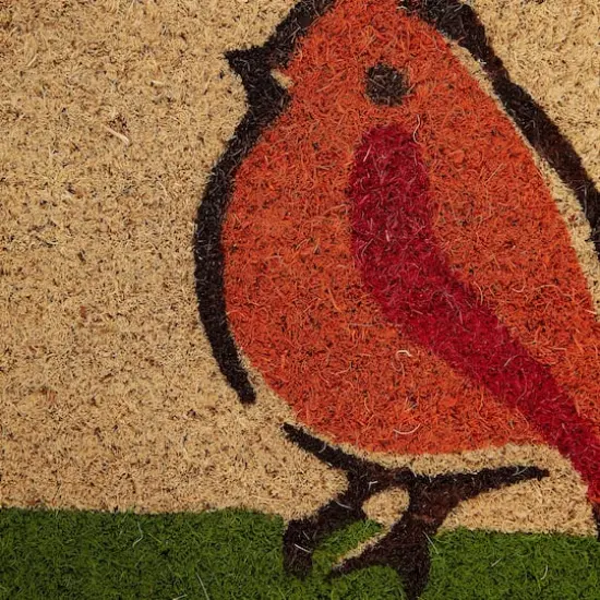 DII&reg; Welcome Birds Doormat {3}