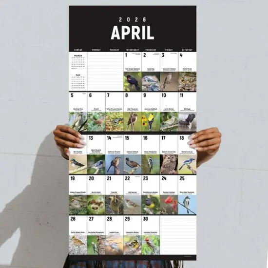 2026 Birds: Backyard and Beyond Wall Calendar {5}