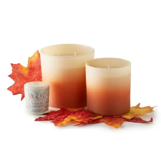 Root Candles Scented 20 Hour Beeswax Blend Votive Candles, 18ct. Leaves and Cashmere {5}