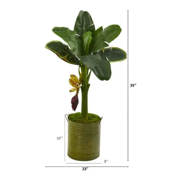 3ft. Banana Tree in Green Planter {3}