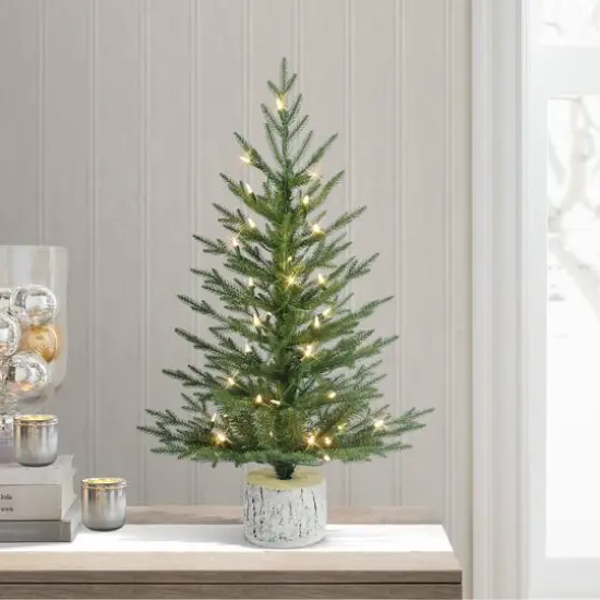 3ft. Pre-Lit Arctic Fir Artificial Potted Christmas Tree, Warm White LED Lights {3}