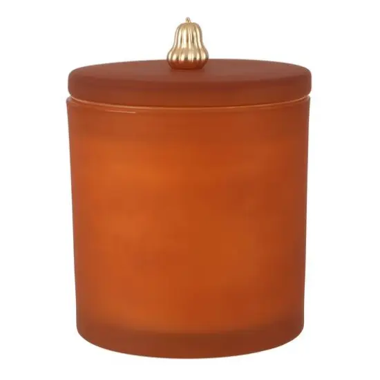 14oz. Scented Fall Icon Filled Candle in Frosted Glass Jar by Ashland&reg; Spiced Pumpkin/Gourd Figure {1}