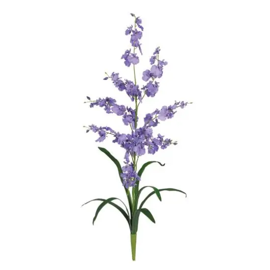 Dancing Lady Orchid Stem, 12ct. Purple {1}