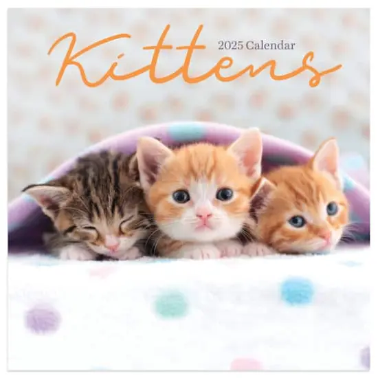 TF Publishing 2025 Kittens Mini Calendar {1}