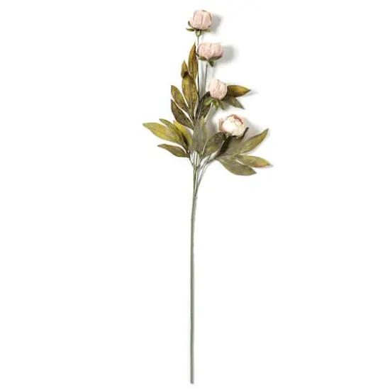 Tan Peony Stem by Ashland&reg; {4}