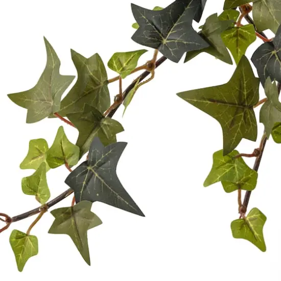 Star Ivy Bush by Ashland&reg; {4}