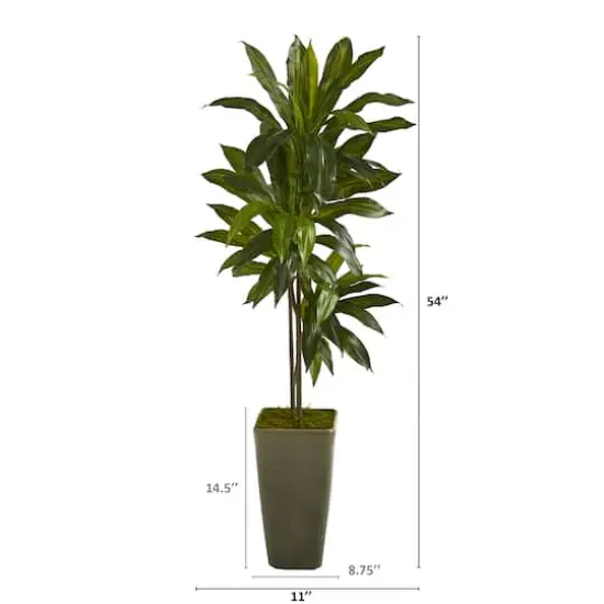 4.5ft. Dracaena Plant in Green Planter {3}