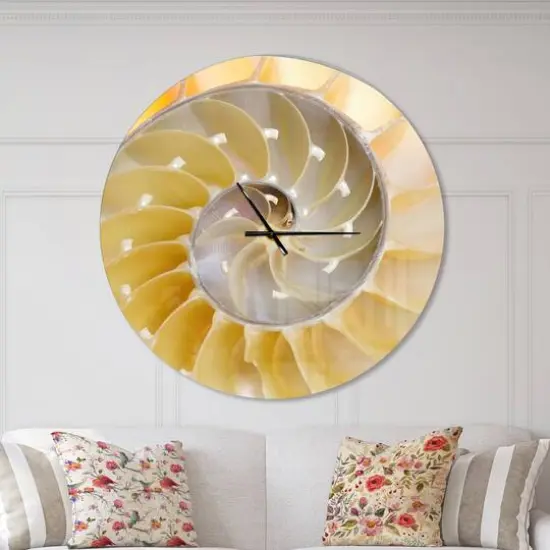 Designart Isolated Nautilus Shell Modern Wall Clock {3}