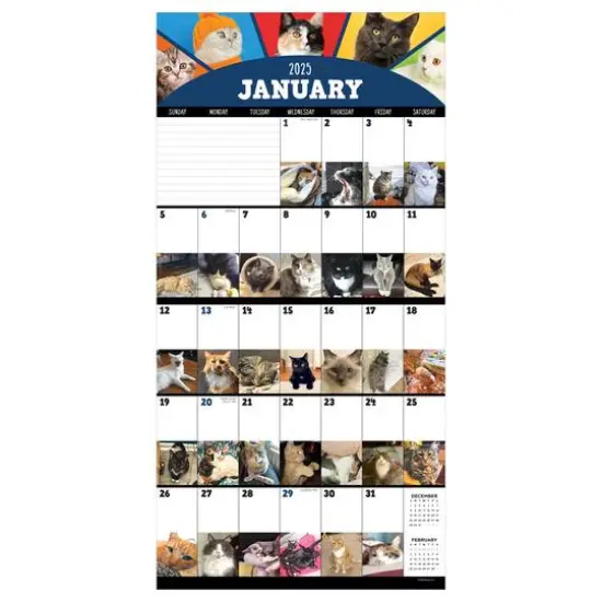 TF Publishing 2025 Cat-a-Day Wall Calendar {6}