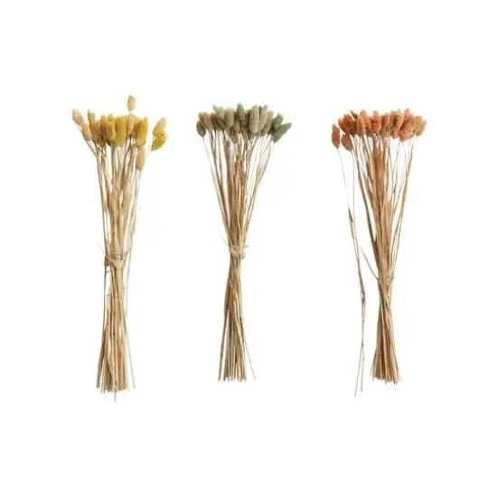 Hello Honey&reg; 19.5" Dried Natural Canary Grass Bunch, 3ct. {4}
