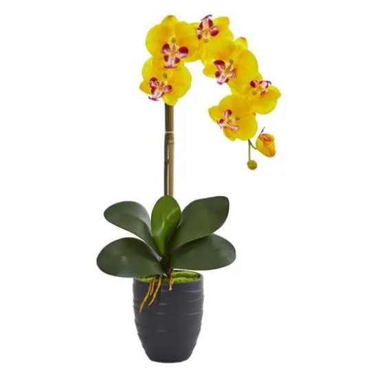 Phalaenopsis Orchid Artificial Arrangement in Ceramic Black Vase {1}