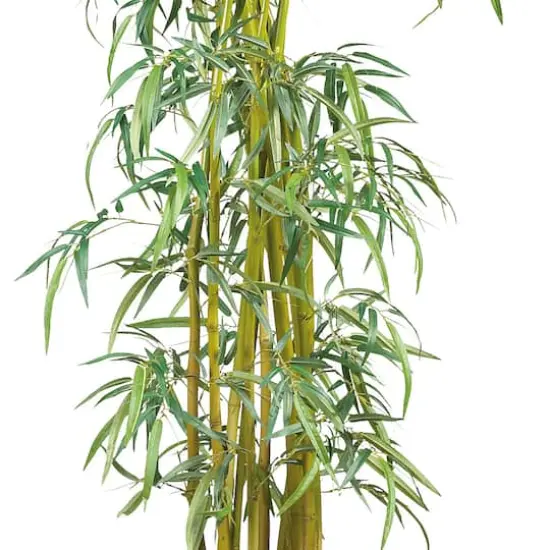 7ft. Potted Curved Slim Bamboo Silk Tree {4}