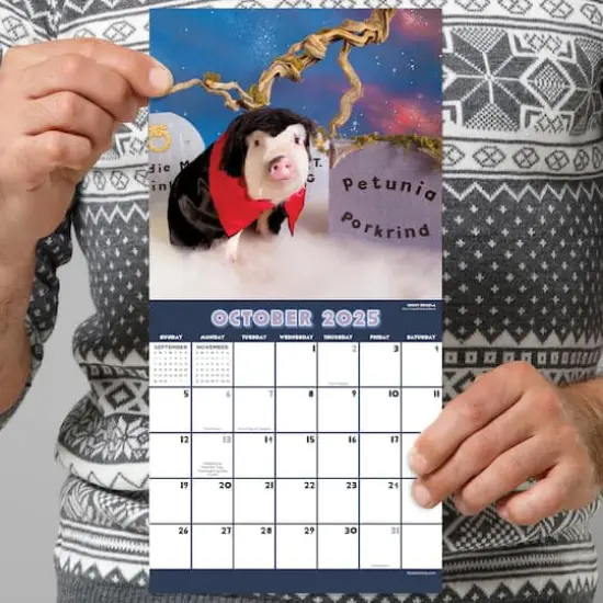 TF Publishing 2025 Playful Pigs Mini Calendar {6}