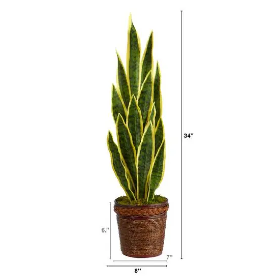 2.5ft. Snake Plant in Decorative Basket Planter {3}