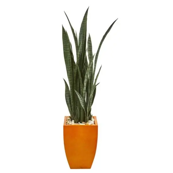 4.5ft. Snake Plant in Orange Planter {1}