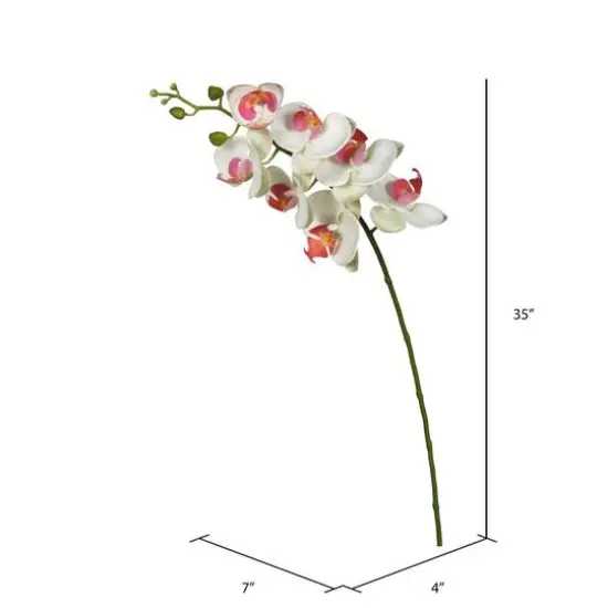 White Orchid Stem {3}