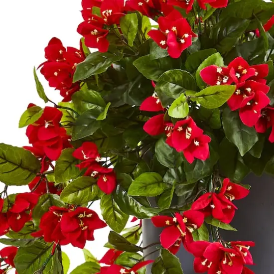 2ft. Red Bougainvillea in Tower Planter {5}