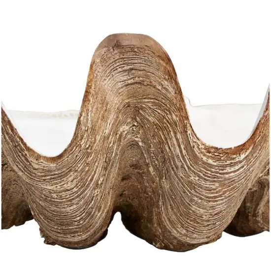 White 20" Shell Decorative Bowl {4}