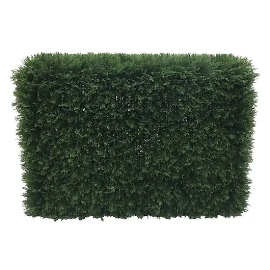 3ft. Green Cedar Hedge {1}
