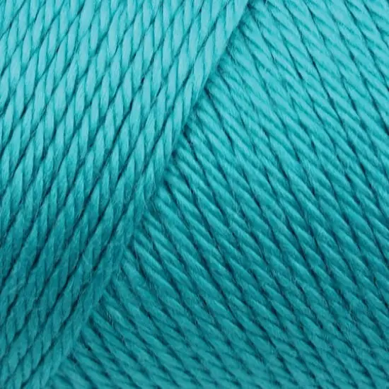 Caron&reg; Simply Soft&reg; Solid Yarn Blue Mint {3}