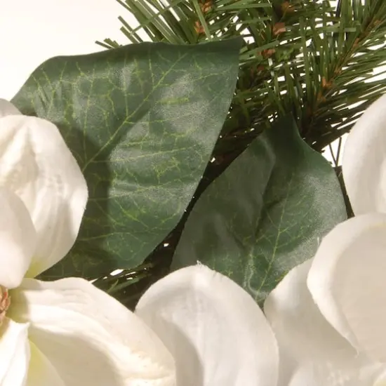 24" North Valley&reg; Spruce Magnolia Wreath {5}