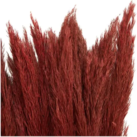 Dried Plant Bamboo Natural Foliage with Long Stems Red {5}