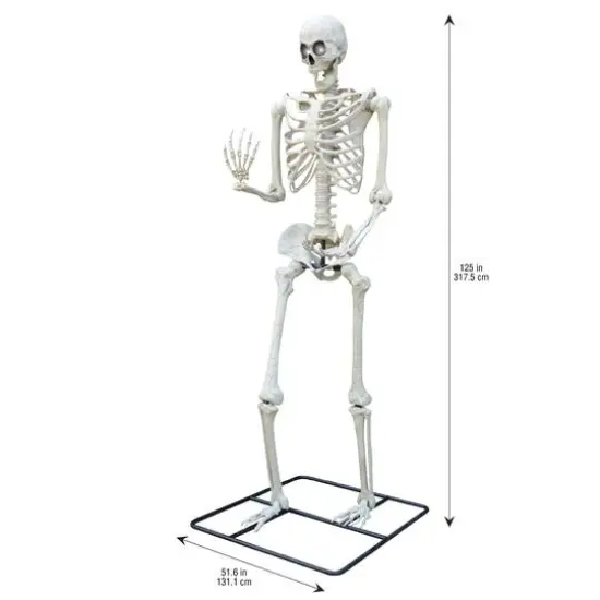 10ft. Oversized Posable Skeleton by Ashland&reg; {4}
