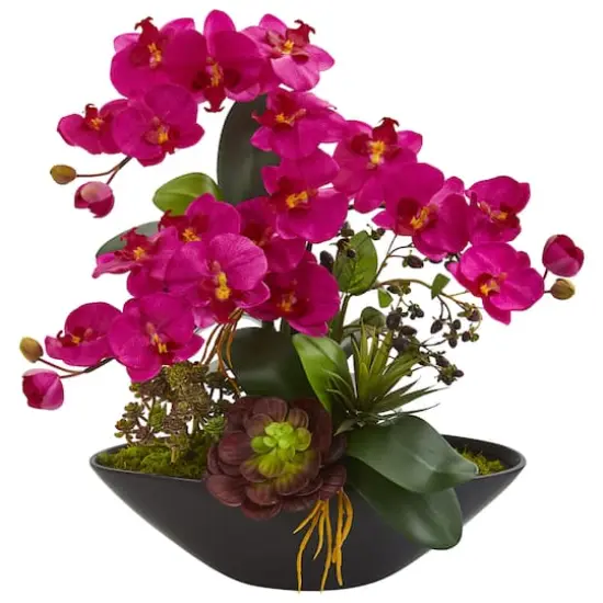 21" Moth Orchid & Mixed Succulent Garden Arrangement in Black Vase Pink {1}